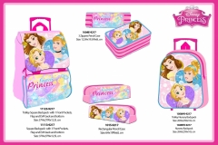 PRINCESS-BTS-217-ECONOMIC-BTS-PRESENTATION-TO