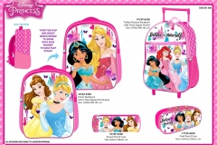 PRINCESS-BTS-300-Presentation-ET-part2