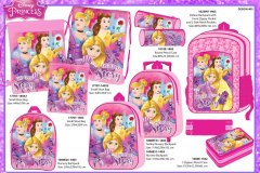 PRINCESS-BTS-403-Presentation-TO-part2