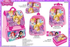 PRINCESS-BTS-403-Presentation-TO