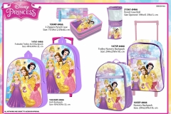 PRINCESS-BTS-466-Presentation-TO.