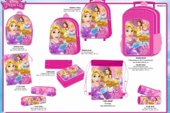 PRINCESS-BTS-542-Economic-Presentation-TO