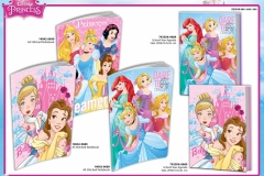 PRINCESS-PAPER-680-689-690-Presentation-TO
