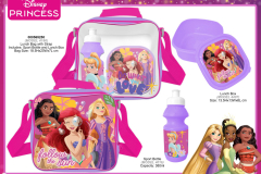 4160 PRINCESS TABLEWARE 000565250 Presentation DK