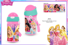 PRINCESS-TABLEWARE-805219-model-4022-Presentation-IV