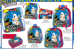 SONIC-BTS-256-Presentation-FA