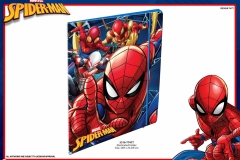 SPIDERMAN-PAPER-3310-7747T-Folder-Presentation-ET