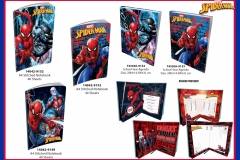 SPIDERMAN-PAPER-PRODUCTS-VARIOUS-DESIGNS-PRESENTATION-TO
