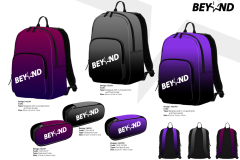 Beyond-DEGRADE-pres