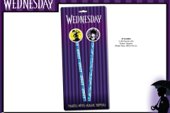 WEDNESDAY-STATIONERY-PENCILS-WITH-TOPPER-3714-WED-Presentation-DK