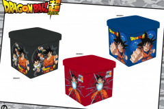 DRAGONBALL-SUPER-STORAGE-Presentation-FA