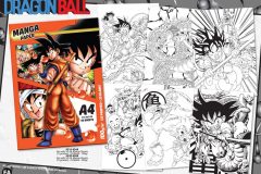 DRAGONBALL-Z-STATIONERY-9510-9568-9520-9568-Presentation-FA