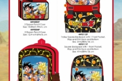 DRAGONBALLZ BTS 449 (1)