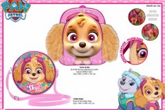 PAW-PATROL-BTS-182-and-582-Presentation-FA