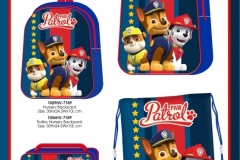 PAW PATROL BTS 189  Presentation FA