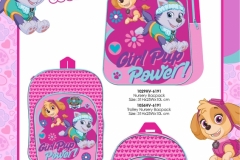 PAW PATROL BTS 191 Economic  Presentation