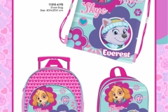 PAW PATROL BTS 192 Economic BTS Presentation