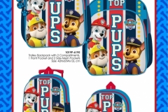 PAW PATROL BTS 195 Presentation