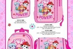 PAW PATROL BTS 888 Economic Presentation 2