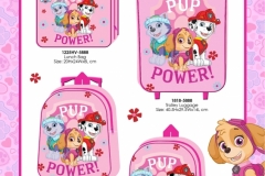 PAW PATROL BTS 888 and Luggage Economic Presentation