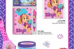 PAW PATROL GIFTS 886 Gifts AND Paper Presentation