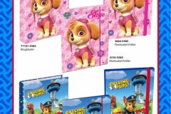 PAW PATROL PAPER PRODUCTS Mix Designs Presentation 2016 PART 2