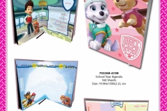 PAW PATROL PAPER PRODUCTS SCHOOL AGENDA  198 Presentation