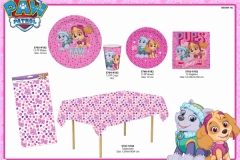 PAW PATROL PARTY 182 Presentation FA part2