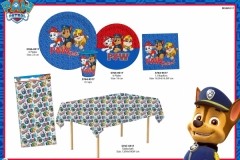 PAW PATROL PARTY 517 Presentation FA