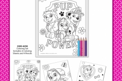 PAW PATROL STATIONERY 258 Colouring Set Presentation