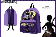 WEDNESDAY-BTS-BACKPACK-1625-3298-Presentation-DK